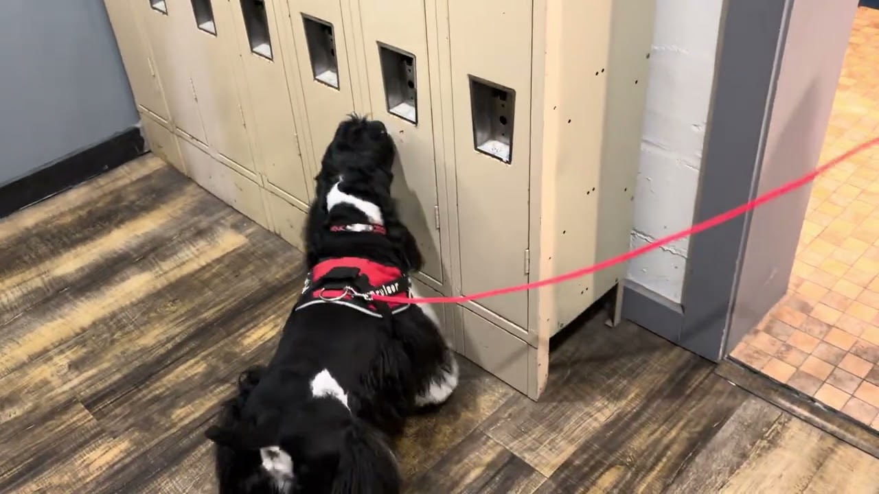 Bruiser training at Fitness place 12/20/25