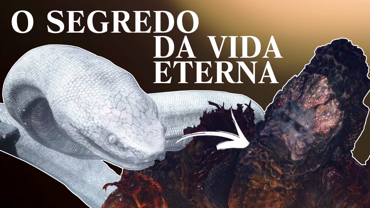 As SERPENTES de SEKIRO e ELDEN RING têm tudo a ver