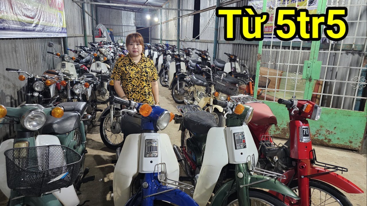 Склад небольших японских скутеров 5,5 миллионов Cub 81 Custom DD Honda 67 Chaly Dream Dwarf Siriu...