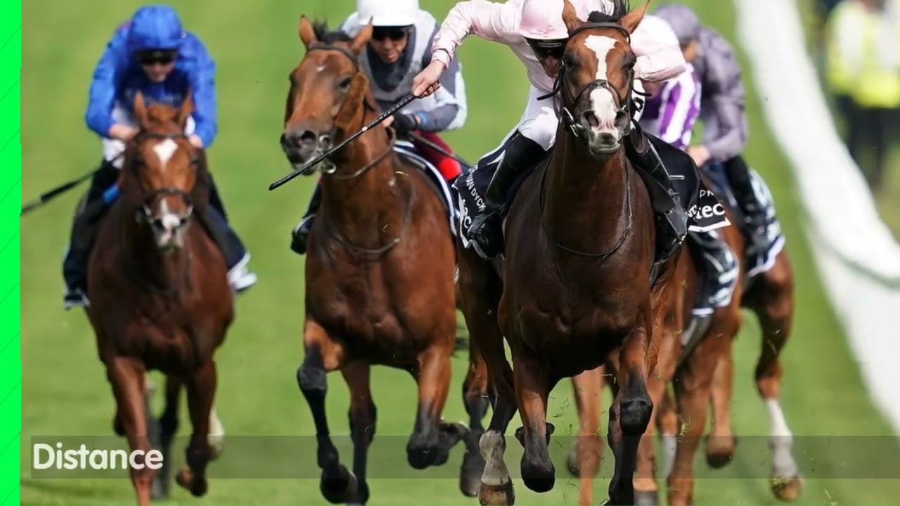 New Horse Racing Betting Sites