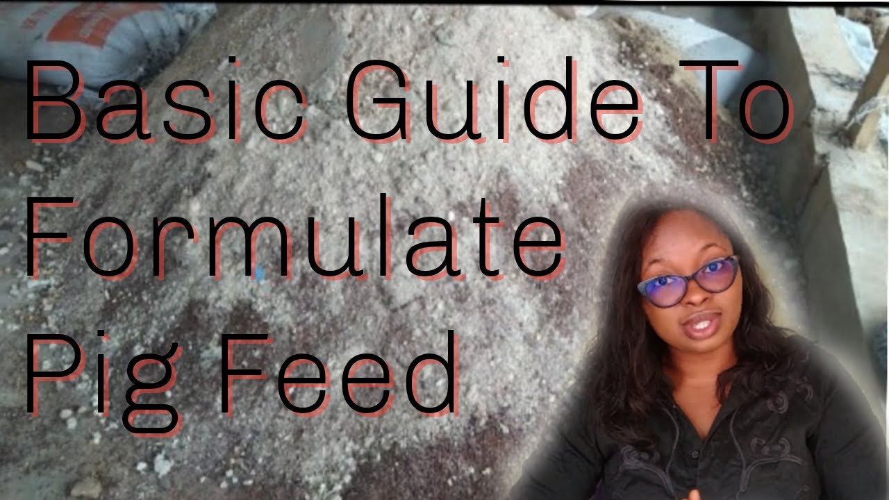 Beginners Guide: How To Formulate Pig Feed