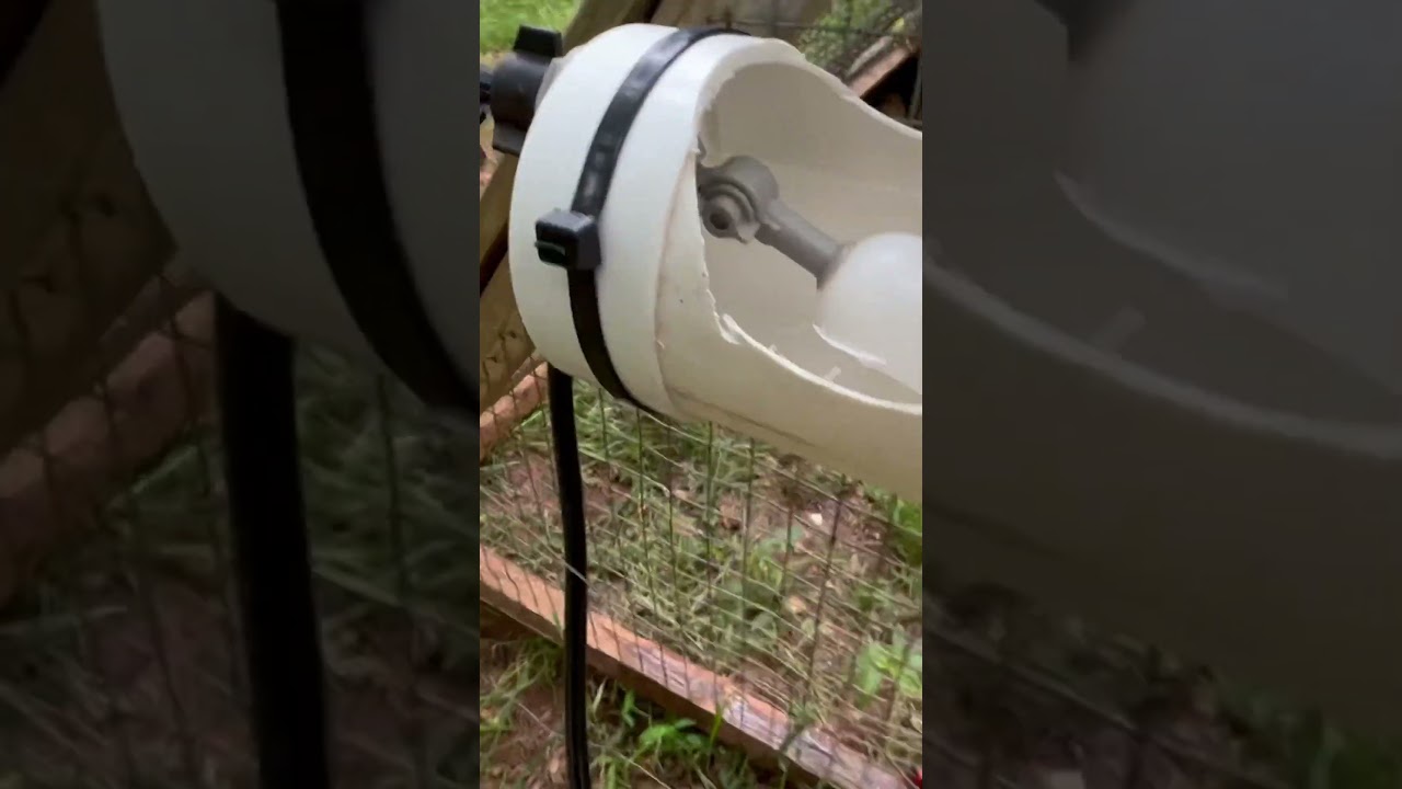Pastured Quail Water System