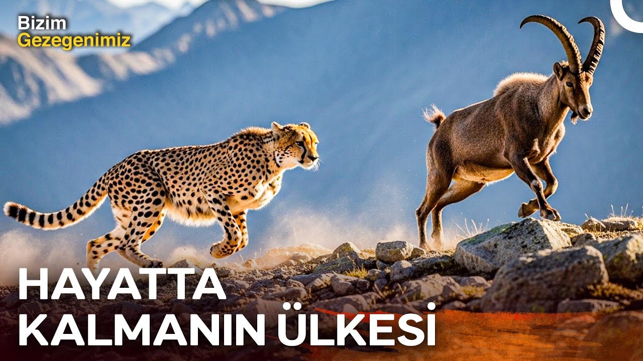 Uç Koşullar Ülkesi İran’da Yaşamak Cesaret İster! I Türkçe Dublaj Belgesel
