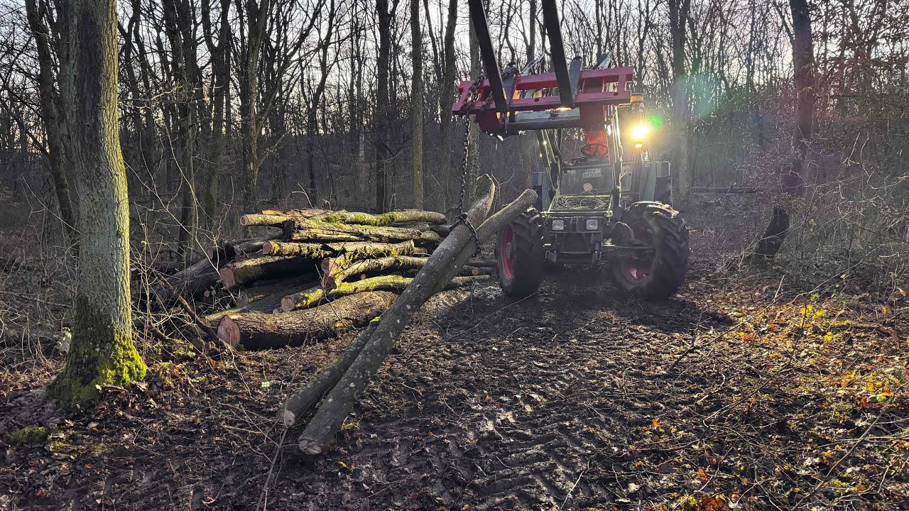 FarmVlog#254 - Ab in den Wald und neue Schlappen!