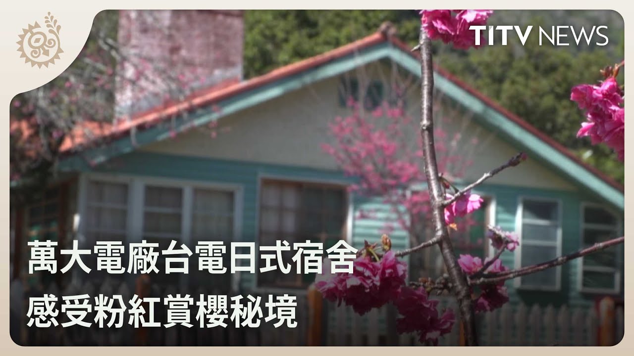 萬大電廠台電日式宿舍 感受粉紅賞櫻秘境｜每日熱點新聞｜原住民族電視台
