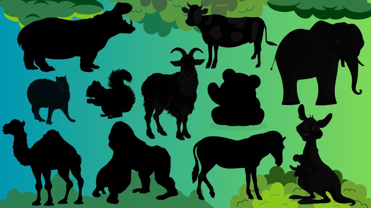 Guess the Herbivore: Fun Animal Puzzles for Kids - Learn Names and Facts!