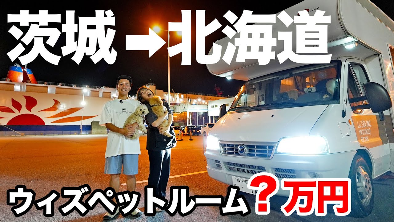 【茨城→北海道】中古キャンピングカーで初フェリー。ウィズペットルームの船内と価格まで公開｜さんふらわあ”かむい"