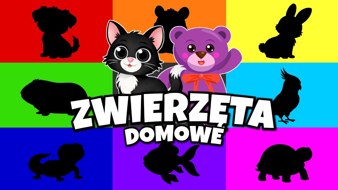 Zwierzęta domowe - Bajka edukacyjna - Film edukacyjny o zwierzętach domowych