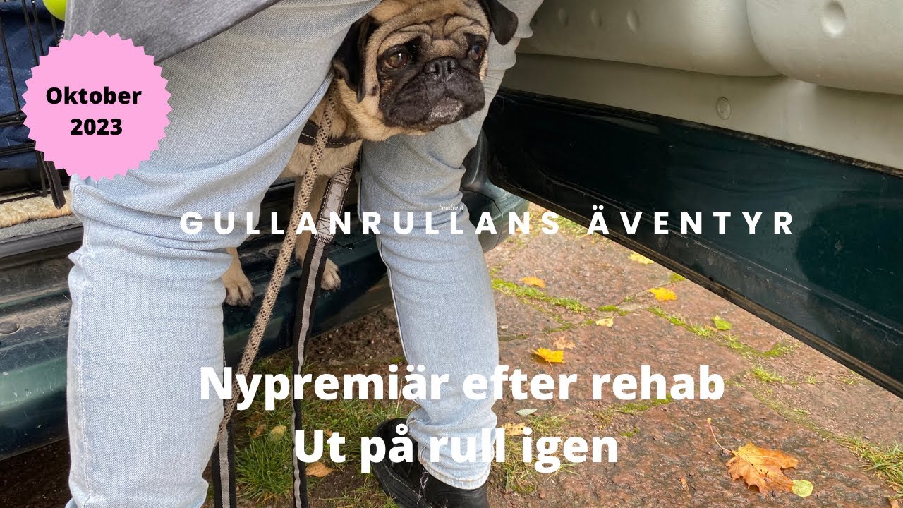 Höst på Öland och ut på rull