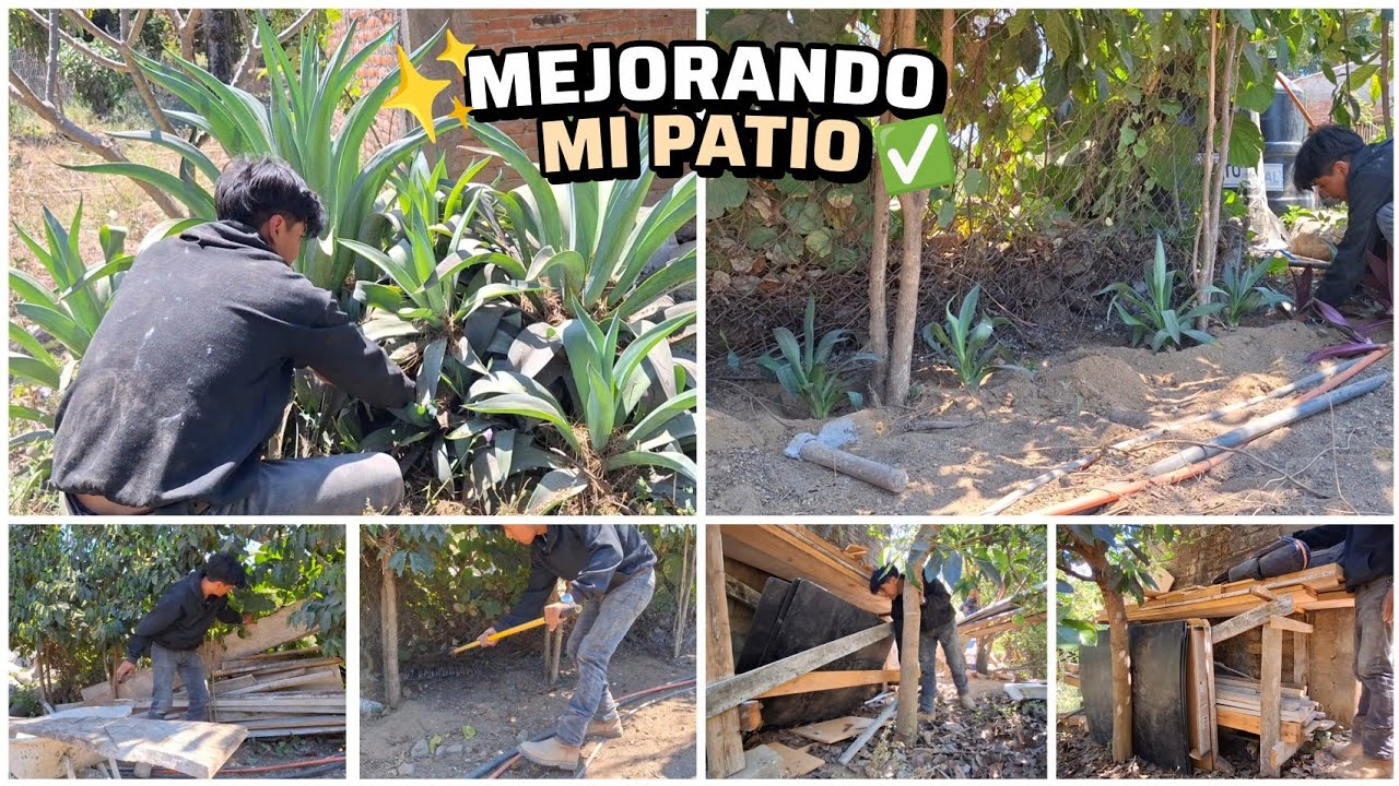 MEJORE mi PATIO SOLO con PLANTAS 🪴 y LIMPIEZA 🧹