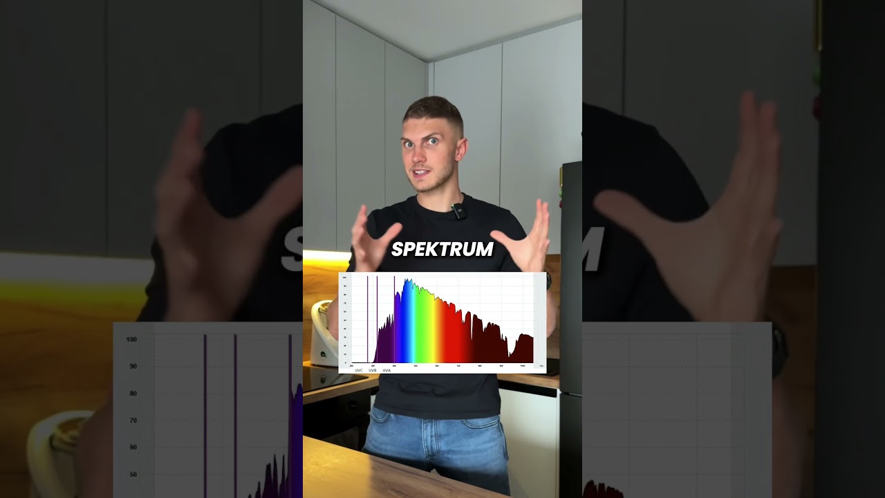 Jaką lampę wybrać? ⬇️
