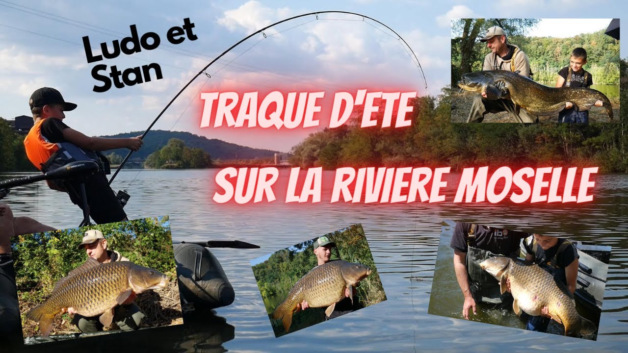 Ludo et Stan // Traque d’été sur la rivière Moselle . Pêche carpes record et silures sur la rivière.