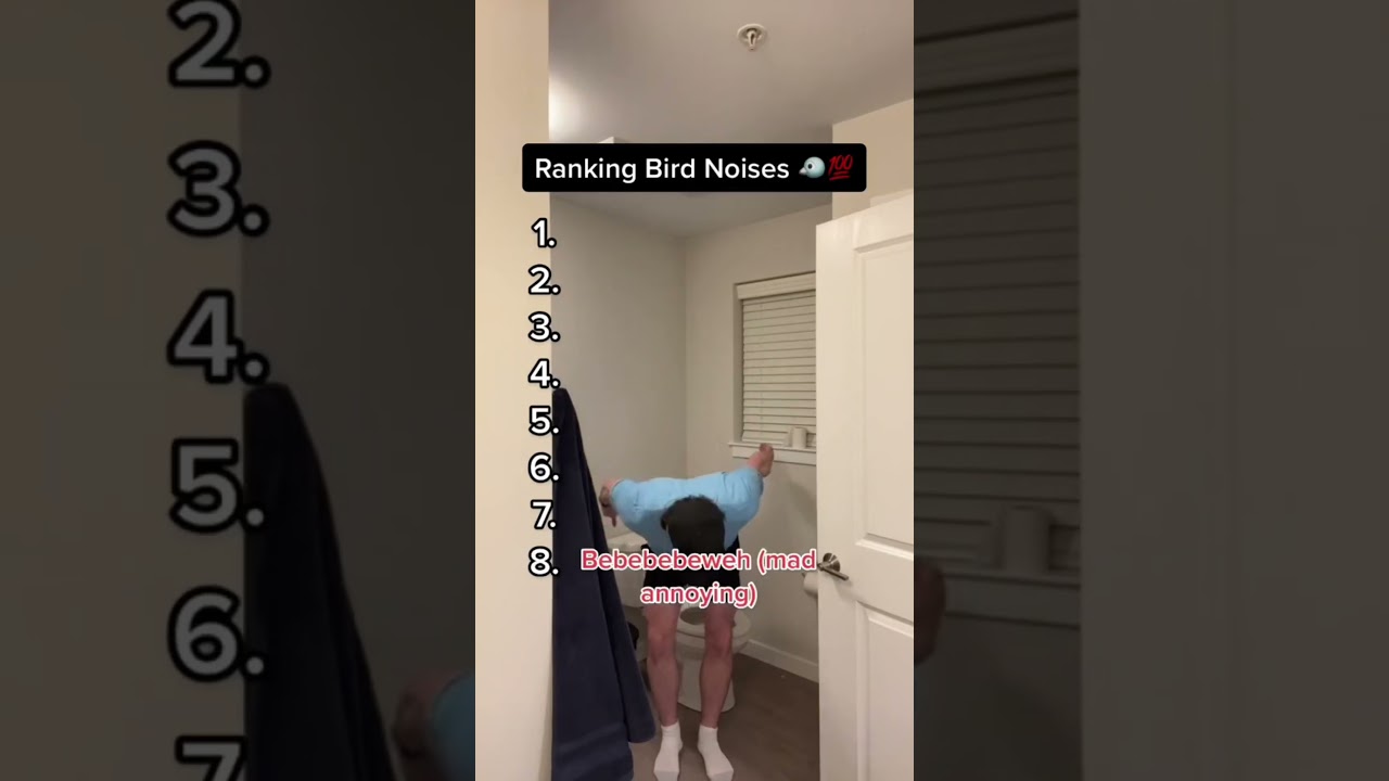 Ranking Bird Noises 🐦💯 Insp. By @okcron
