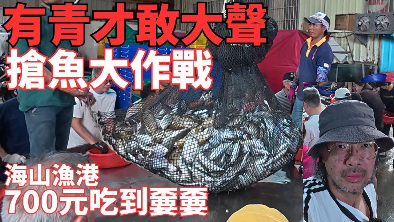 新竹海山漁港定置漁場！現流魚瀑搶魚大作戰！有青才敢大聲！現撈海鮮現煮現吃！明發定置漁場！金吉利定置漁場