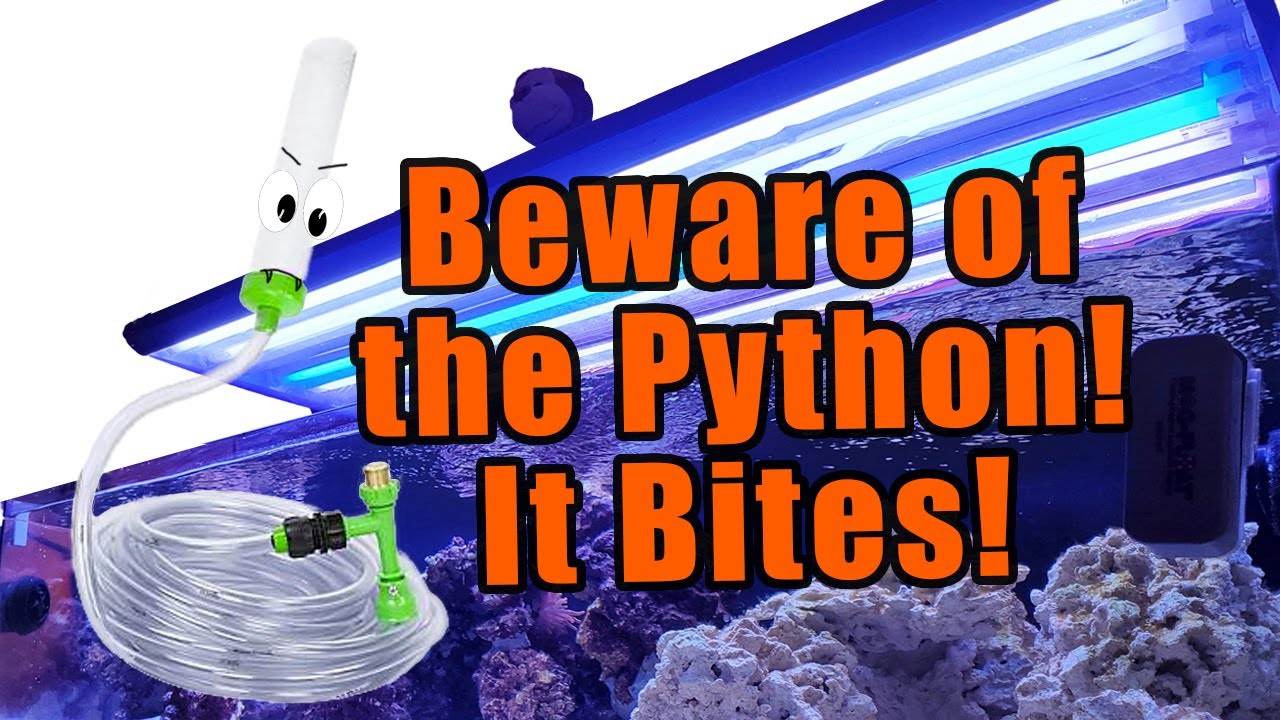 Tank Series - Get yourself a Python for your Tank, especially freshwater!