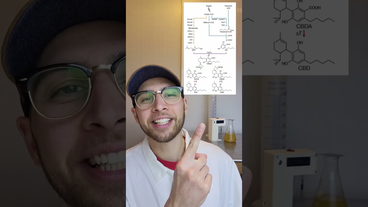 The Future of Cannabis Production?? #shorts