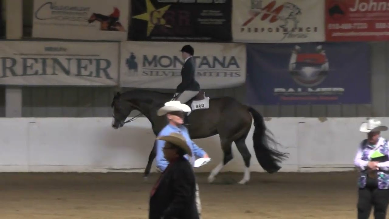 2023 08 13 Brooke's Youth Hunter Under Saddle 14 18