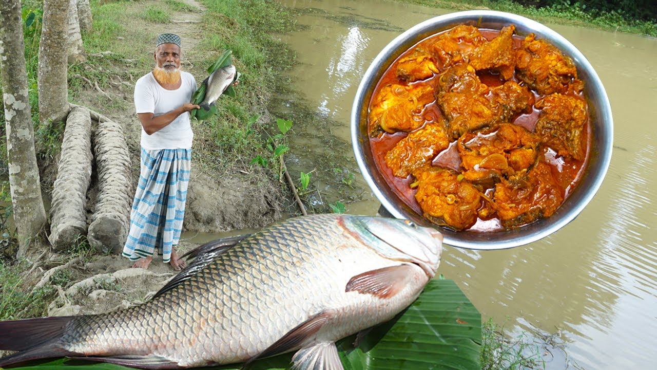 মৃধা বাড়ির পুকুরের বড় কাতল নিয়া আসলাম  | BSL Daily Life
