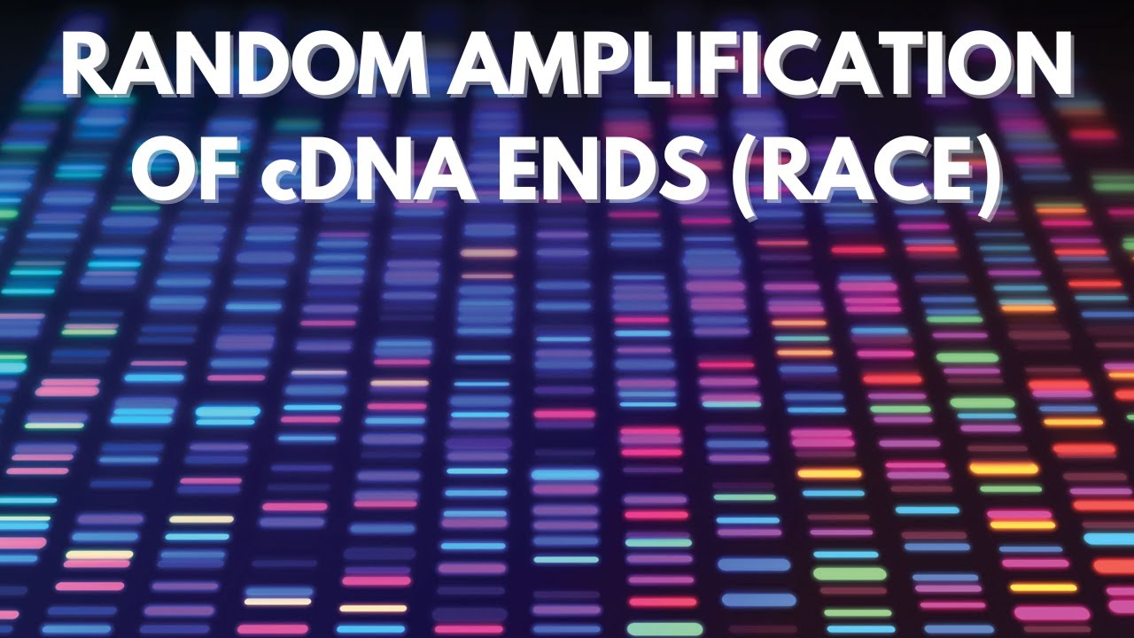 Rapid Amplification of cDNA Ends (RACE) | Genomics