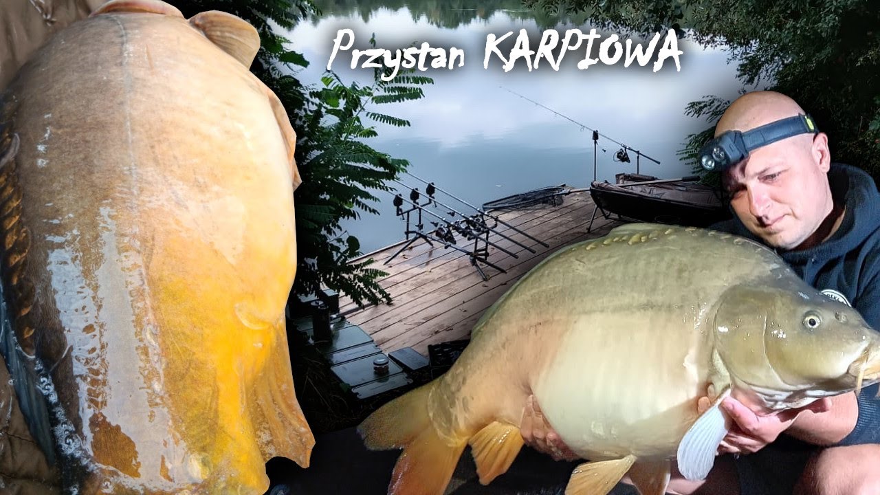 Piekielnie silne KARPIE i AMURY z jednej miejscówki / W składzie z KASIĄ / Ta woda DAJE ryby /