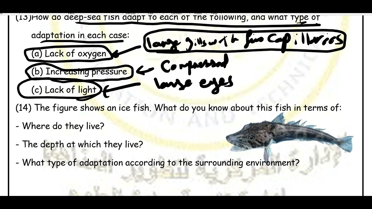 حل اسئله الاسبوع التالت integrated science