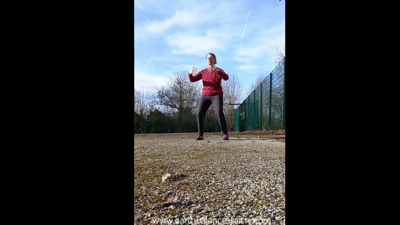 Zhan Zhuang / Standing Post Meditation