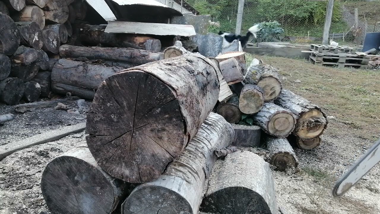 Stihl Ms 461