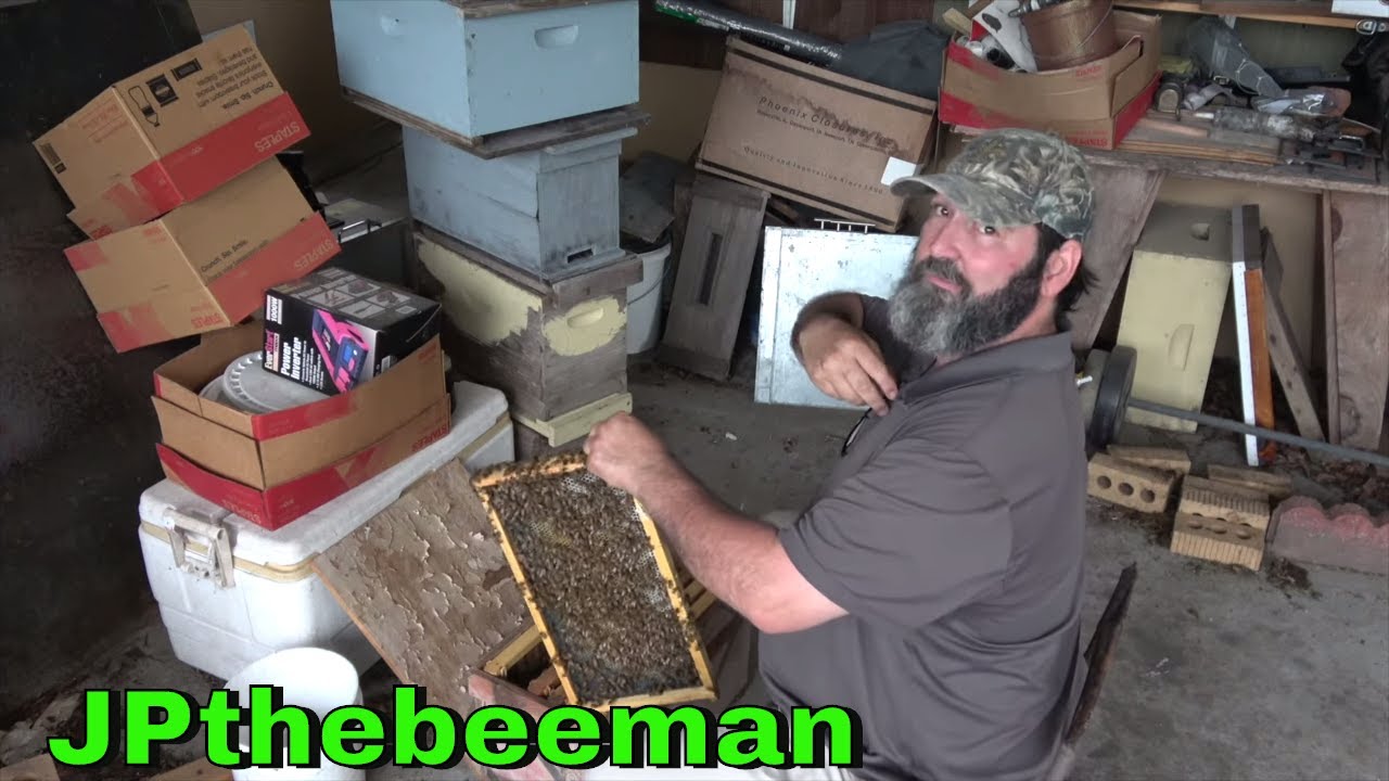 Bees Swarm My Bee Box & I Feel The Love