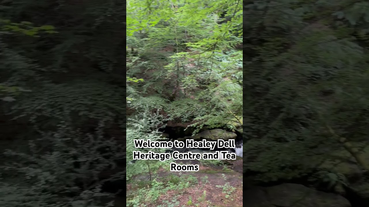 Healey Dell Nature Reserve, Rochdale, Greater Manchester.