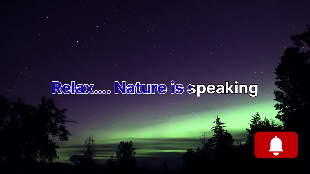 Pure Nature ASMR Sounds &ndash; Distant Birds for Relaxation, Study & Meditation