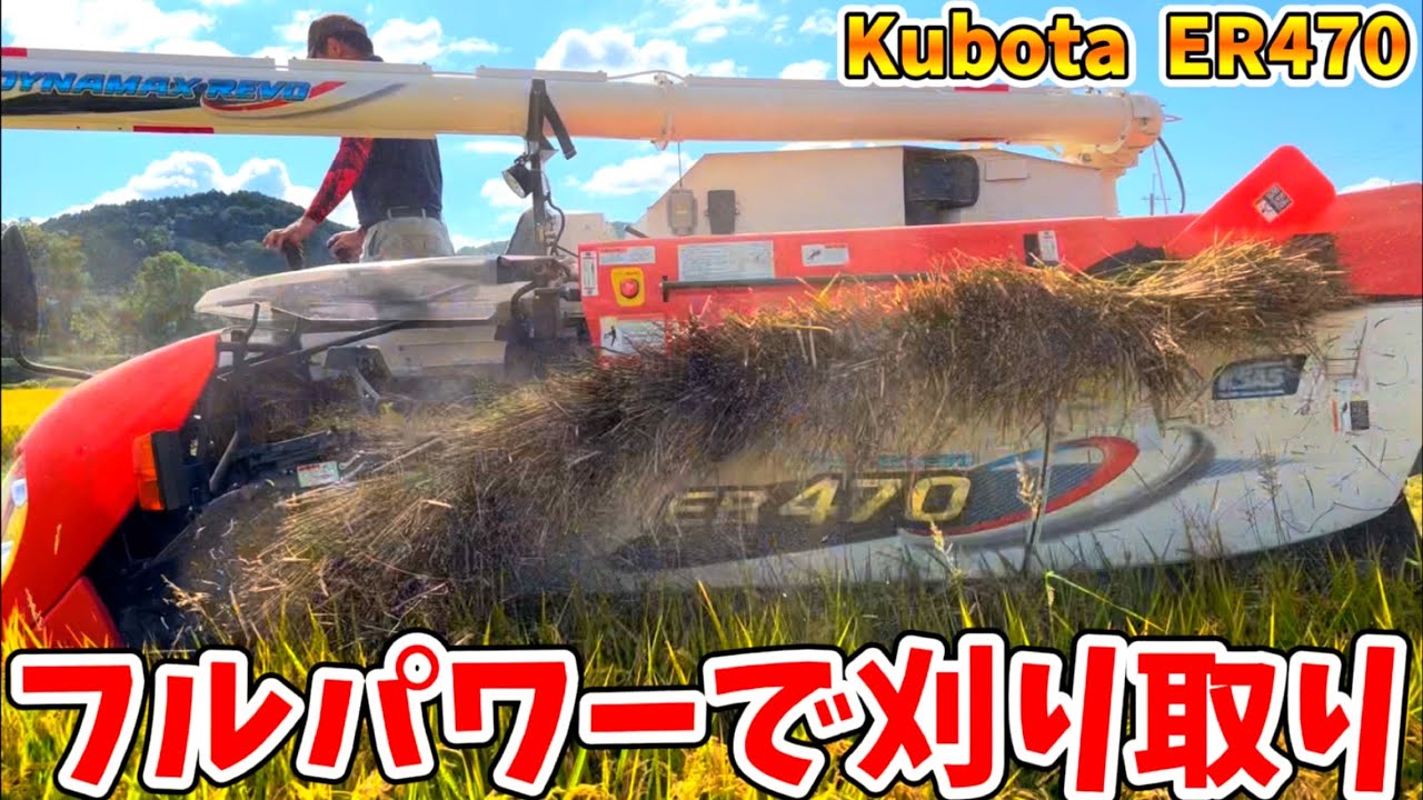 Kubota DR470 クボタの4条70馬力コンバインで刈り取りSTAR🏃‍♂️