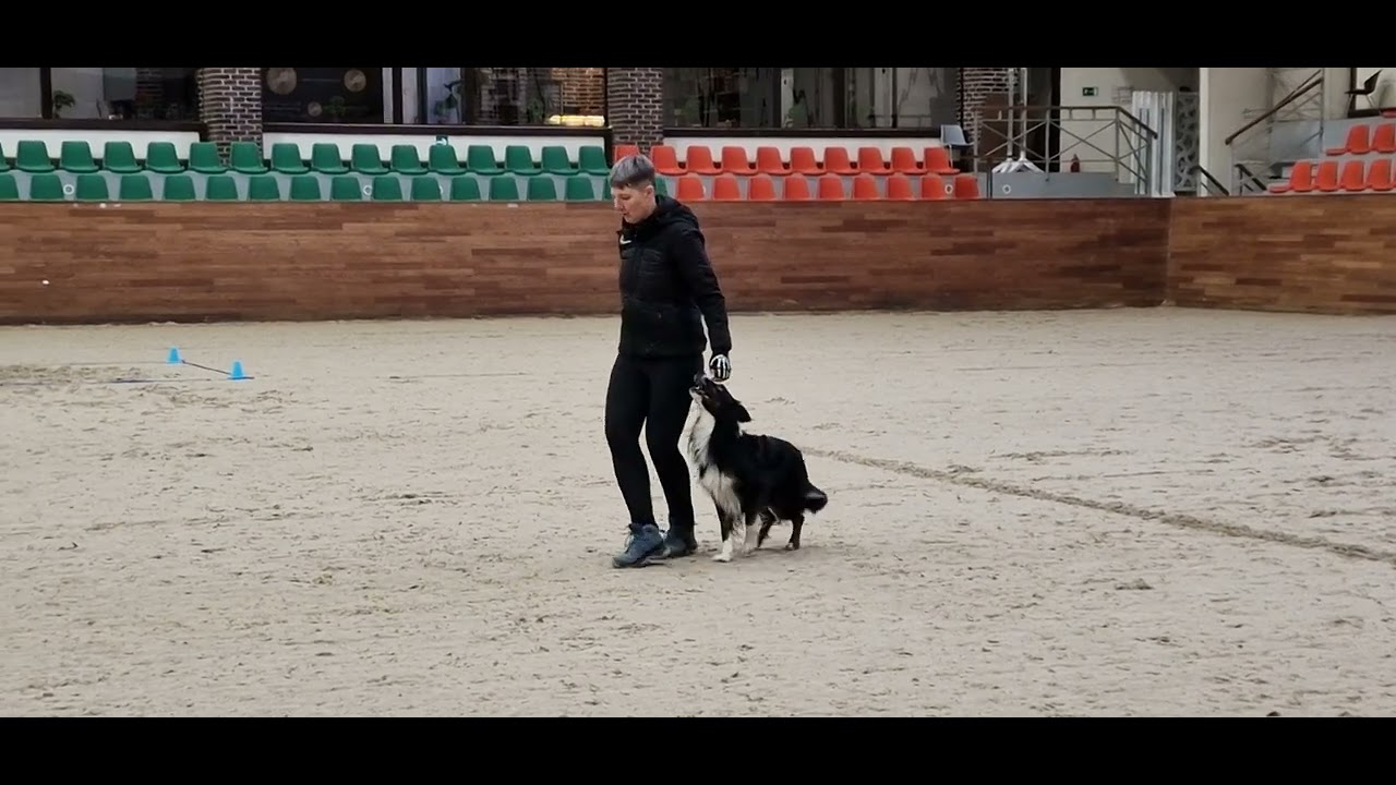 Дип вне зачета