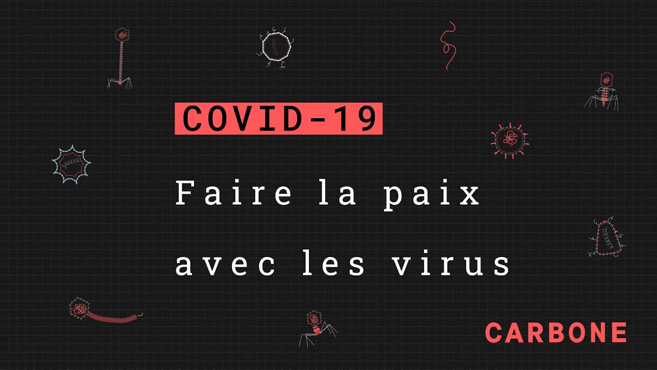Carbone | Quatre raisons pour se réconcilier avec les virus