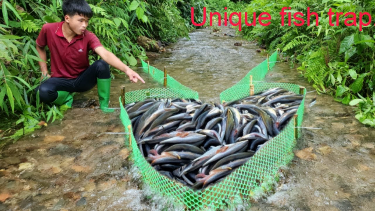 Detailed video of 45 days of making a fish trap in the stream with a magical trap.