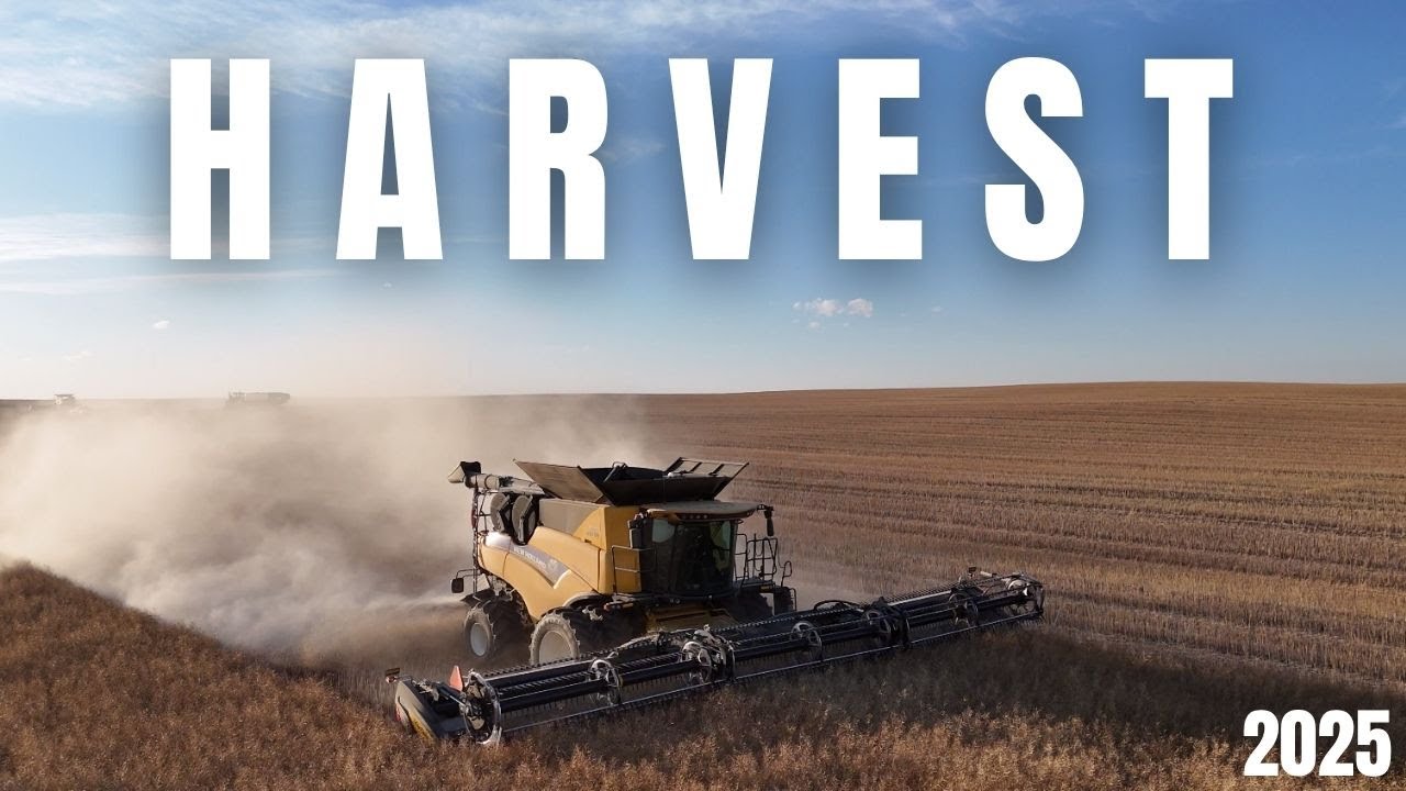 Canola Harvest 2025 | Stories from the People Who Feed Us