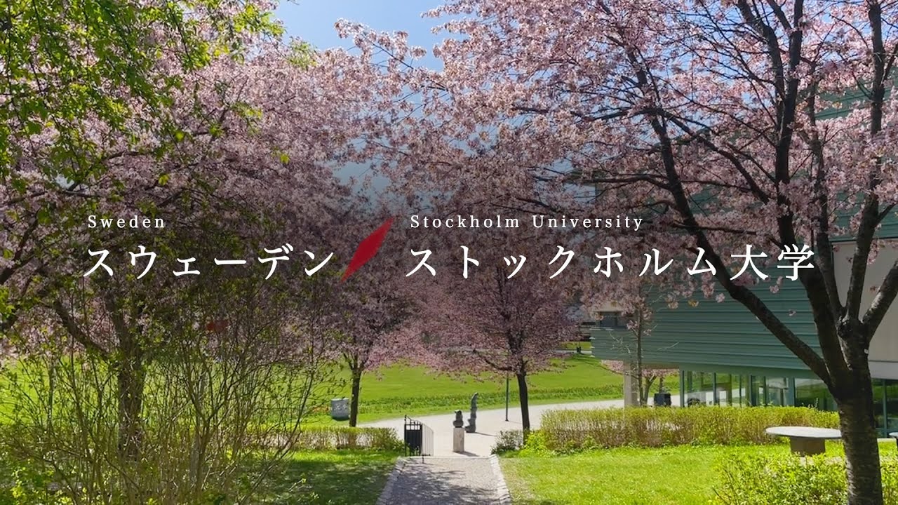 早稲田大学留学リポート2024 #7 ストックホルム大学/Waseda University Study Abroad Report, Stockholm University