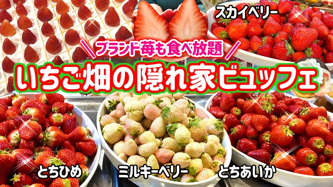 【スペシャルデザートビュッフェ】驚きの価格であの高級いちごも食べ放題！いちご畑の隠れ家ビュッフェレストランに大感激！