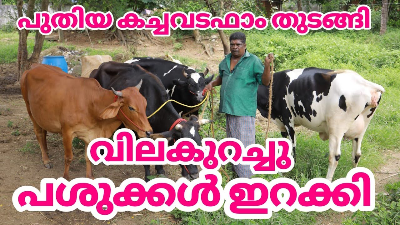 പാലക്കാട്ടെ പുതിയ കച്ചവടഫാം 😍 #dairyfarming