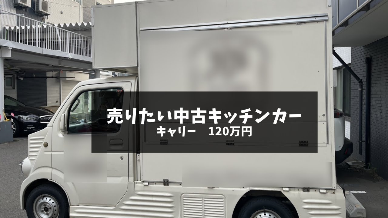【売却済み】（224）キャリー　120万円