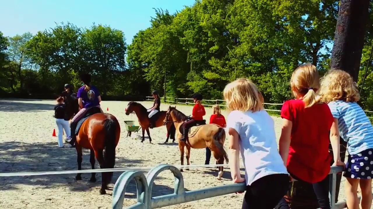 Reitclub Aurich - Tag der offenen Stallt&uuml;r RCAU