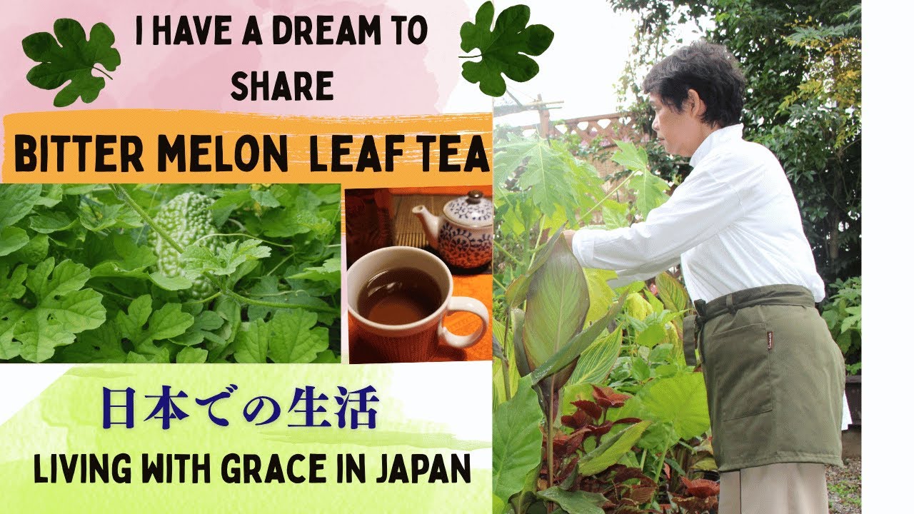 Жизнь на пенсии в Японии: от горькой дыни до сладких снов