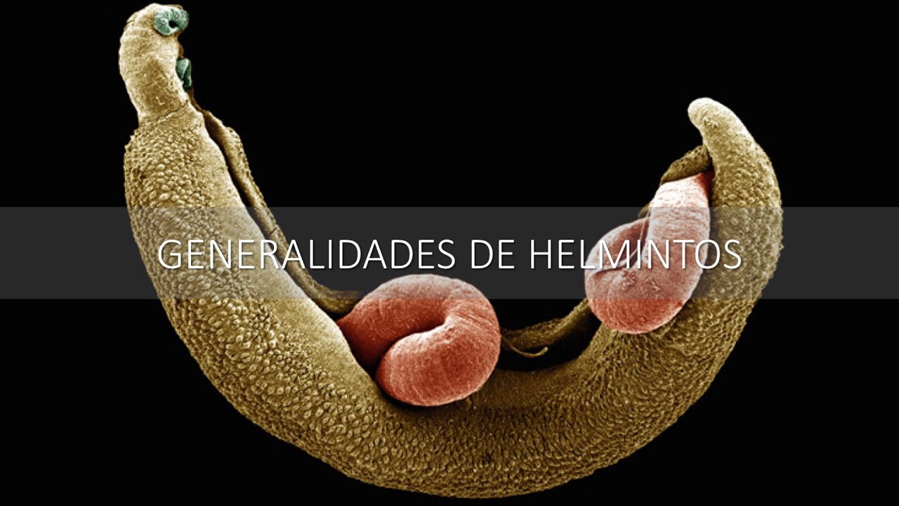 Generalidades de Helmintos (Bibliografía)