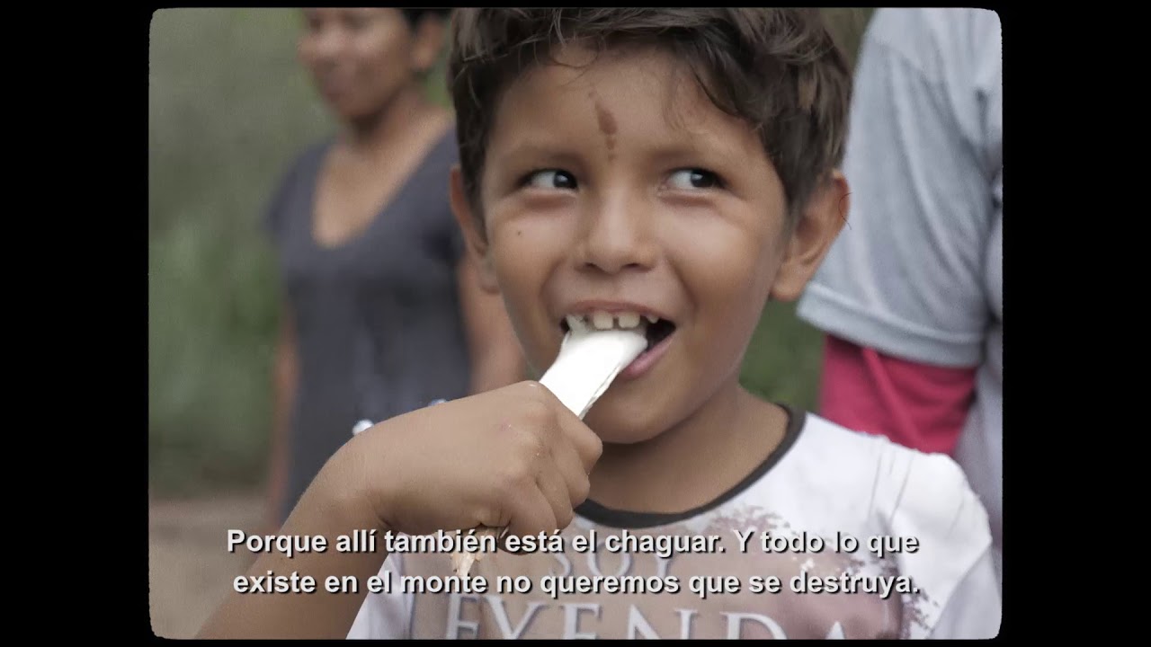 Mundo Pilagá