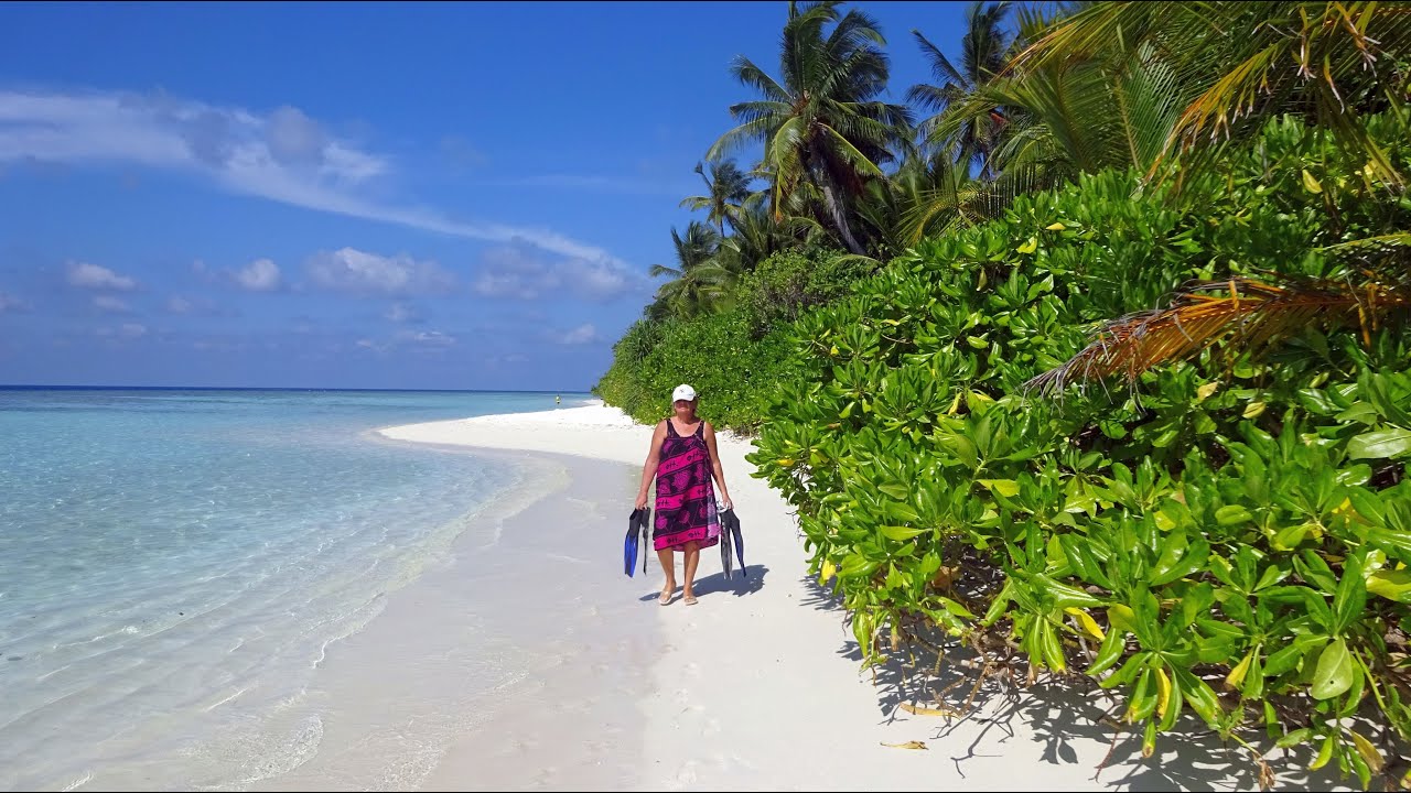 Мальдивы-2017 Снорклинг на рифе отеля Plumeria Maldives. Прогулялись по тропическому лесу острова.