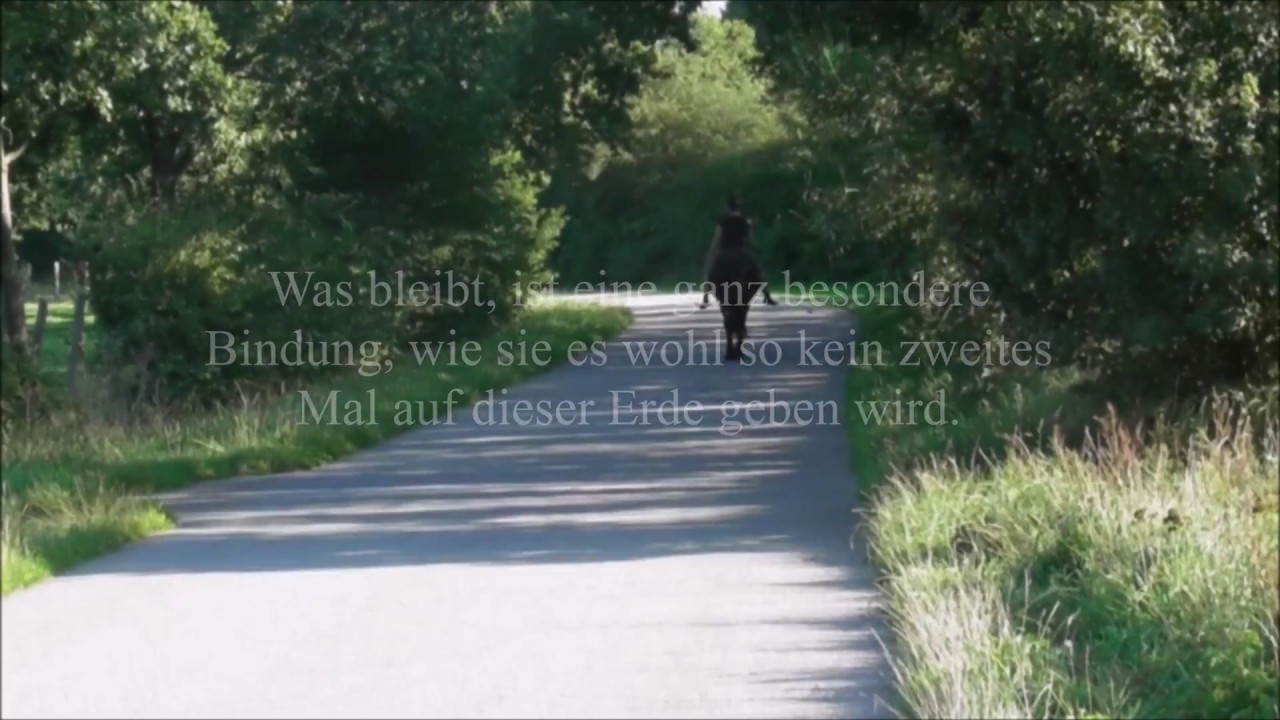 Fijalar, mein Friese. - Das Happy End.