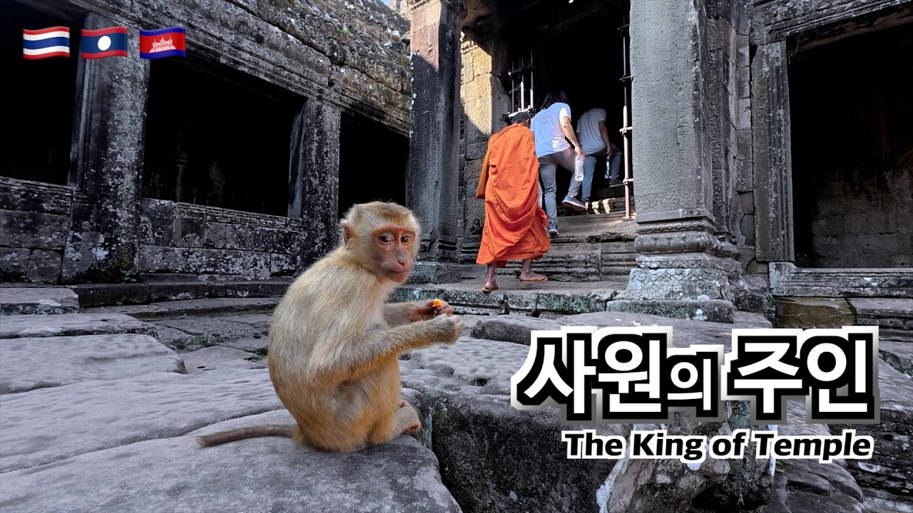 [Day44 동남아자전거여행] 앙코르 와트 탐험 - Cambodia Angkor Wat