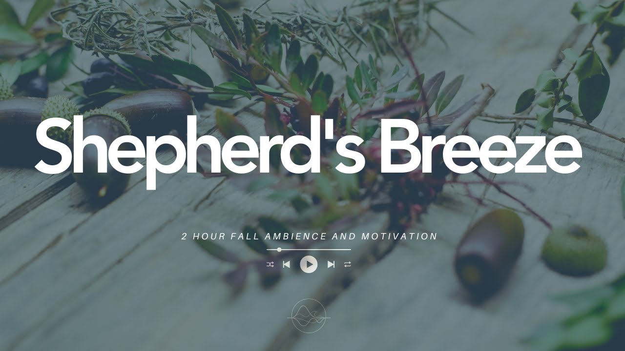 Shepherd's Breeze | Two Hours of Gentle Worship | Sea of Peace Meditation