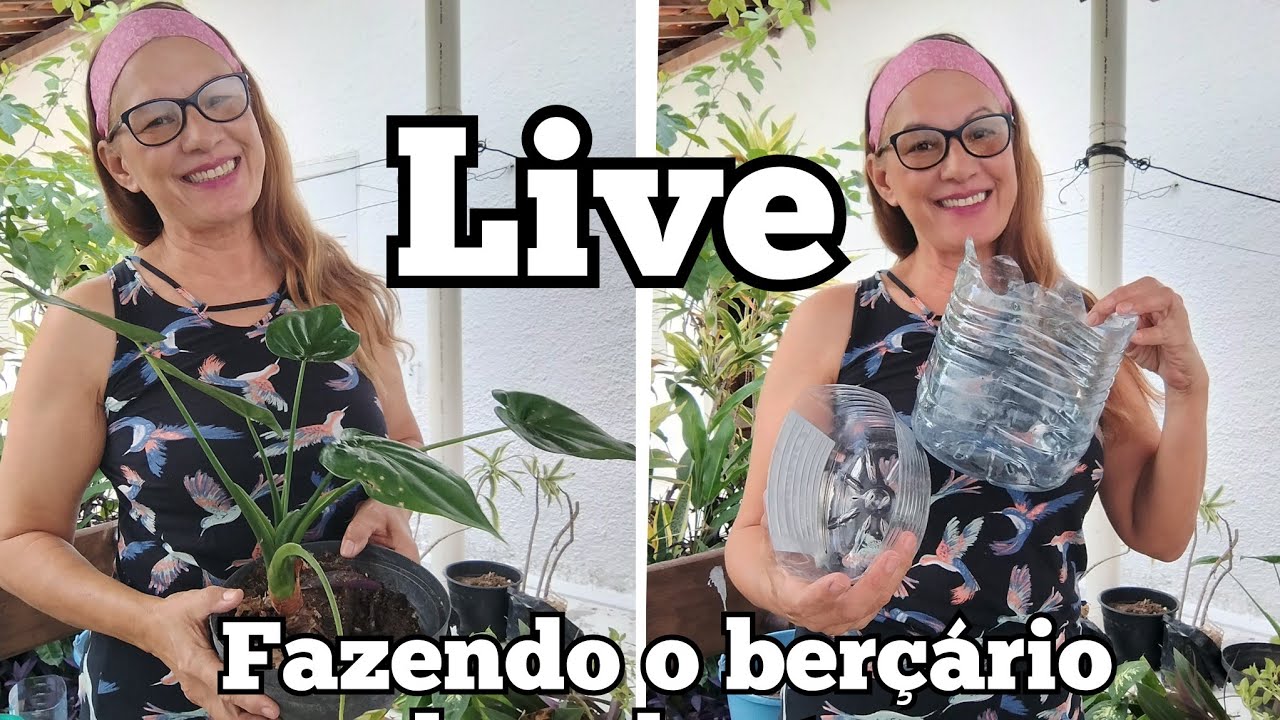 LEONEIDE ALENCAR - VLOGS D'CASA está ao vivo! Cuidando das minhas plantas 🪴