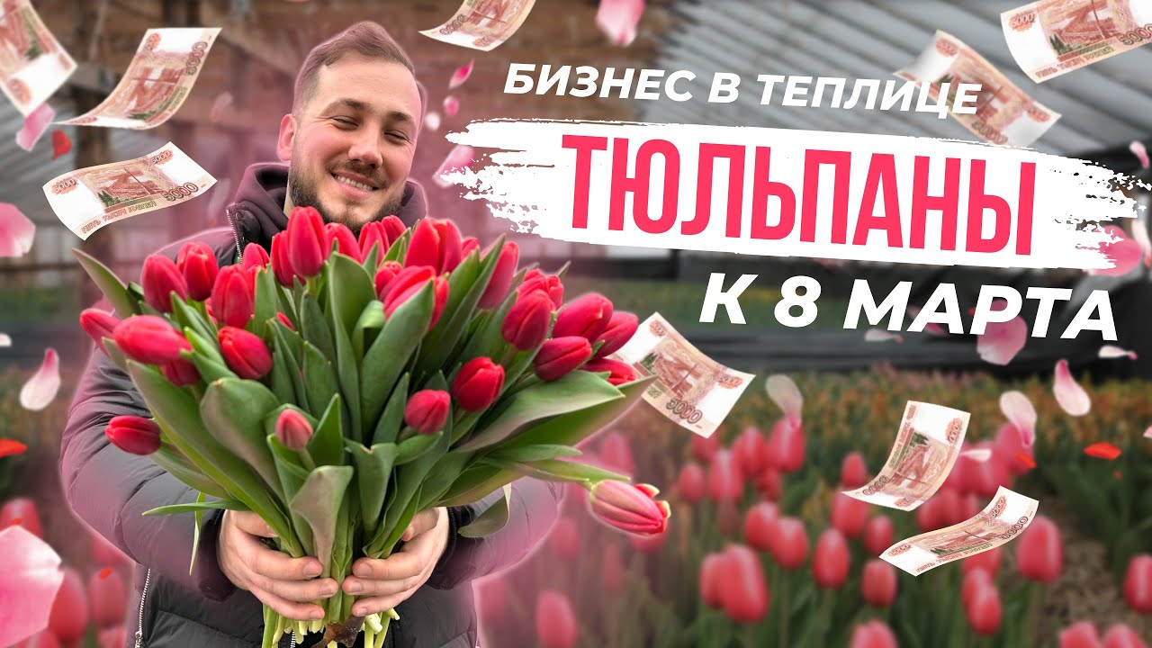 Бизнес на тюльпанах. Выгонка тюльпана к 8 марта. Выращивание и уход / Антон Пермяков