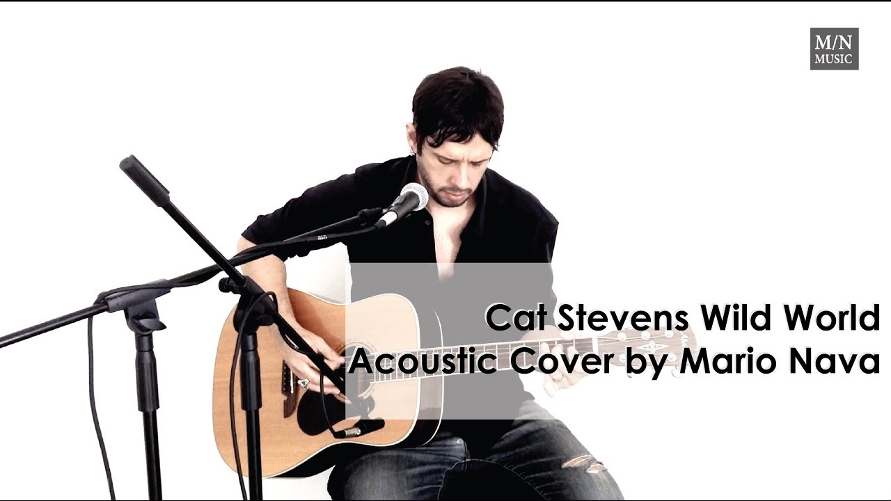 Cat Stevens Wild World Acoustic Cover by Mario Nava
